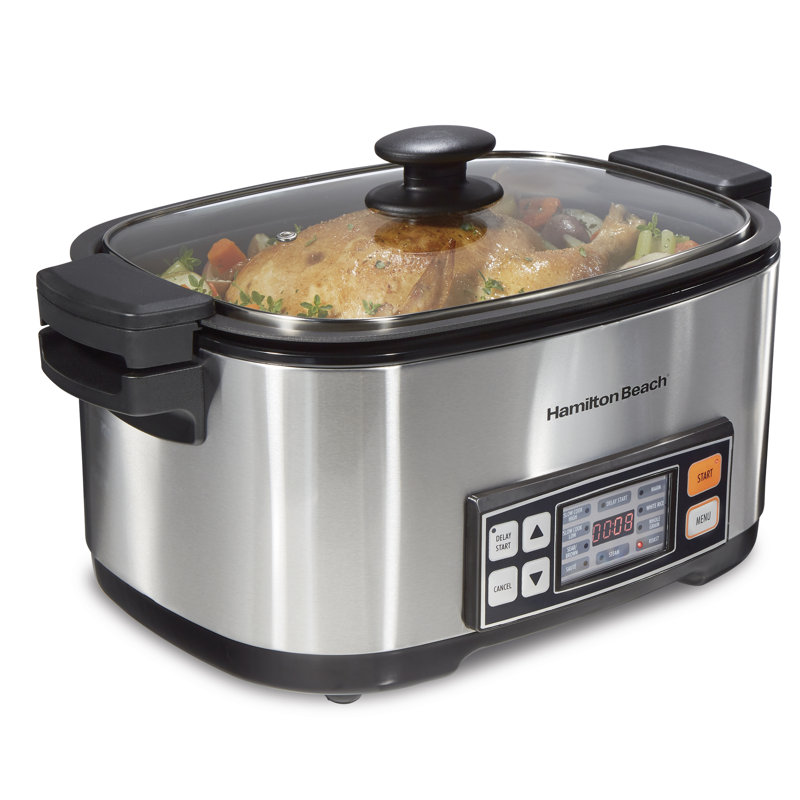 Hamilton Beach 6 Qt. Multi Cooker & Reviews Wayfair